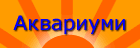 Akvariumi banner